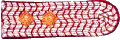 Oberbrandmeister